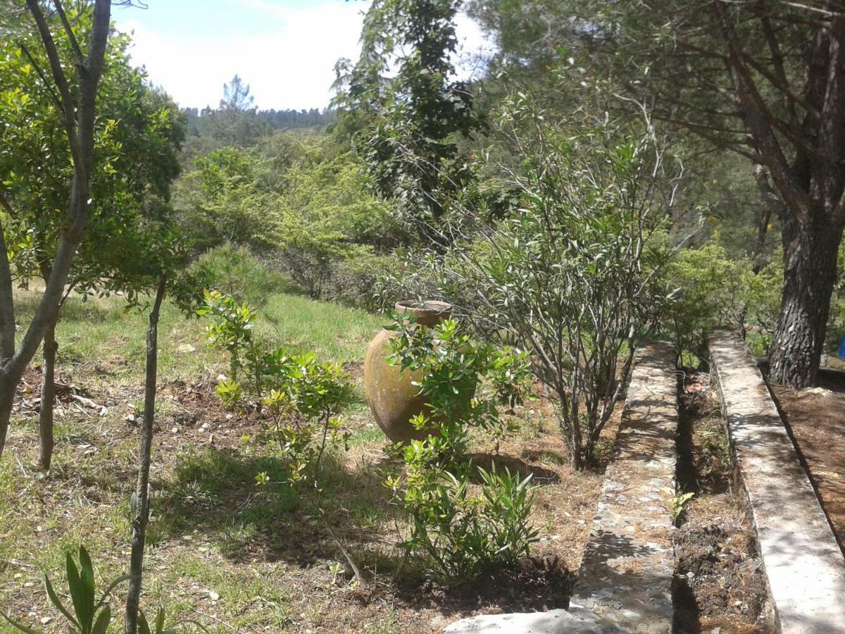 Marvão Quinta Das Lameirinhas מראה חיצוני תמונה